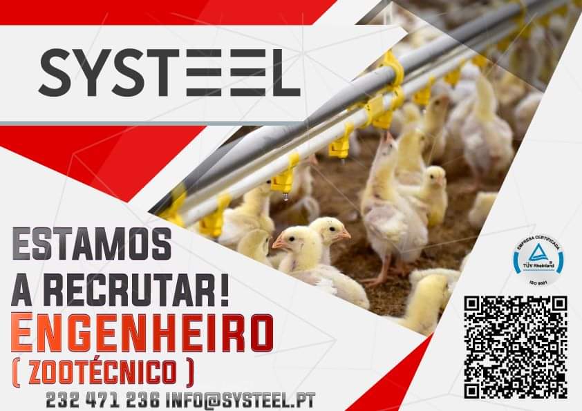 SYSTEEL – Oferta de emprego – EZ