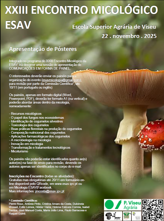 EncontroMico_Posters_2025