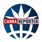 Margarita Cardoso de Meneses