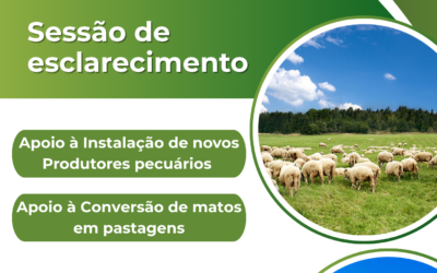 Sessão de Esclarecimento – CAP