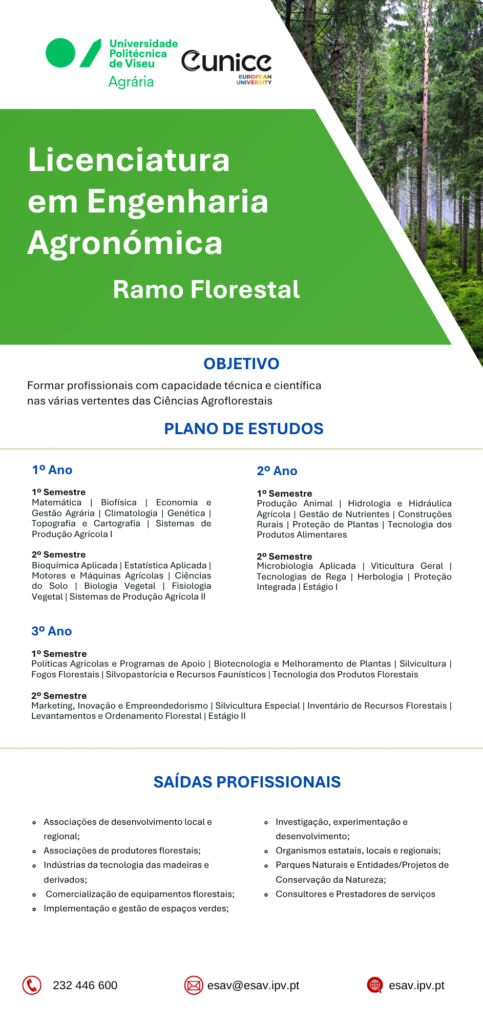LicEngAg_Flo